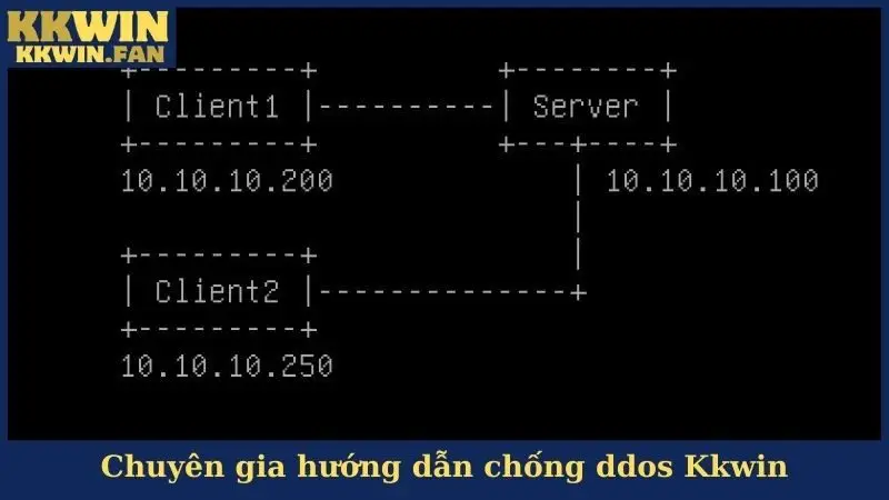 Chuyên gia hướng dẫn chống ddos Kkwin