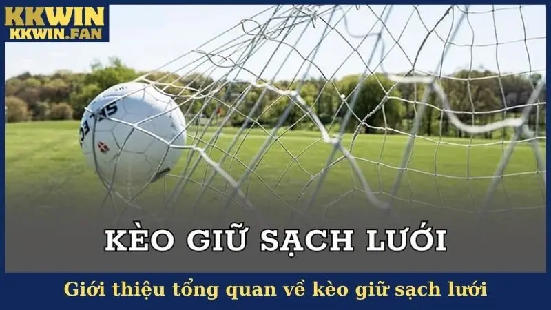 Giới thiệu tổng quan về kèo giữ sạch lưới