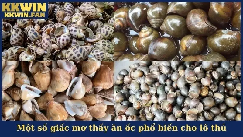 Một số giấc mơ thấy ăn ốc phổ biến cho lô thủ