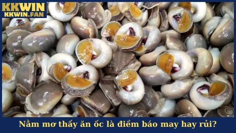 Nằm mơ thấy ăn ốc là điềm báo may hay rủi?